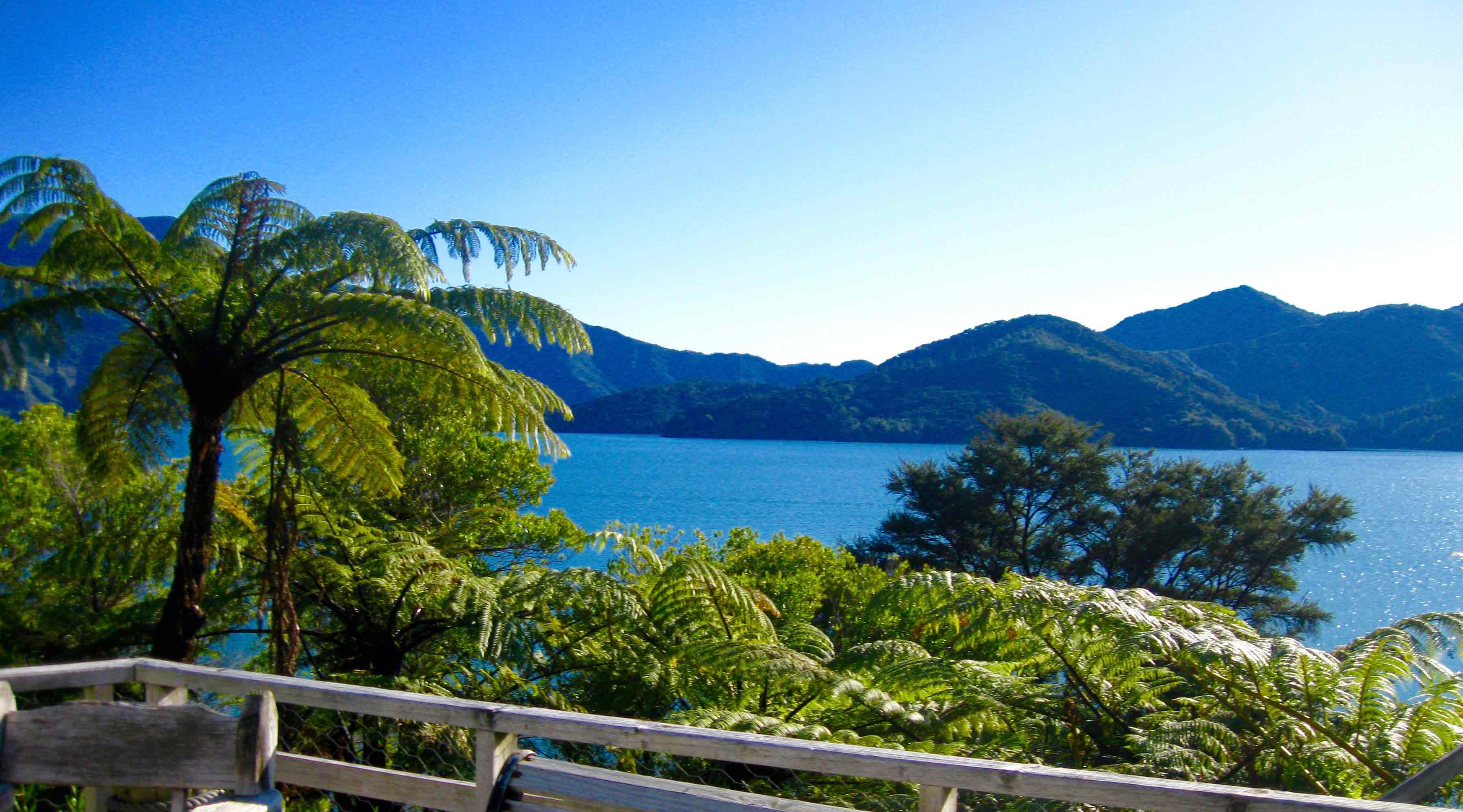 Marlborough Sounds Charters